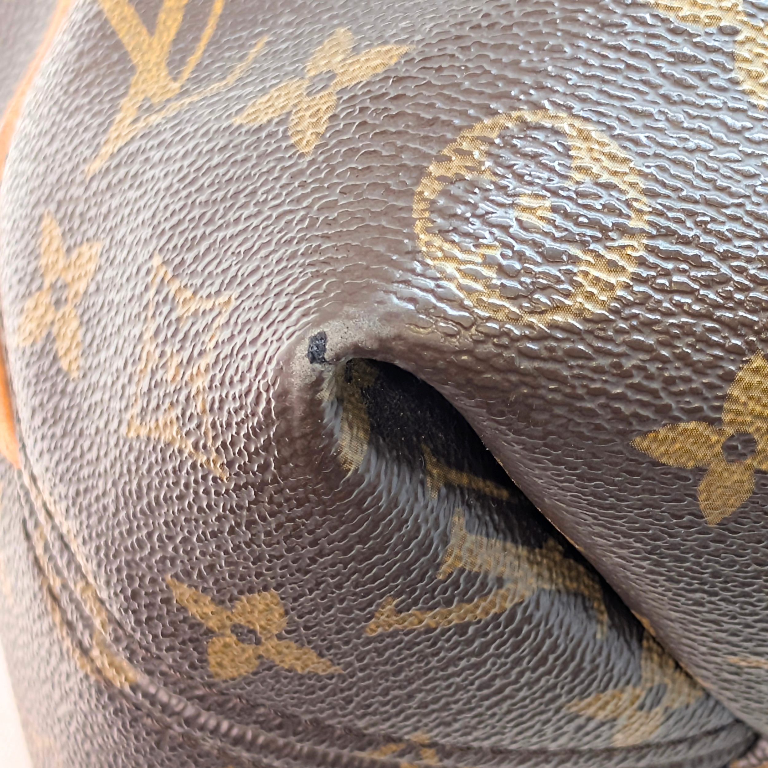 Louis Vuitton Sully MM Monogram Hobo Bag