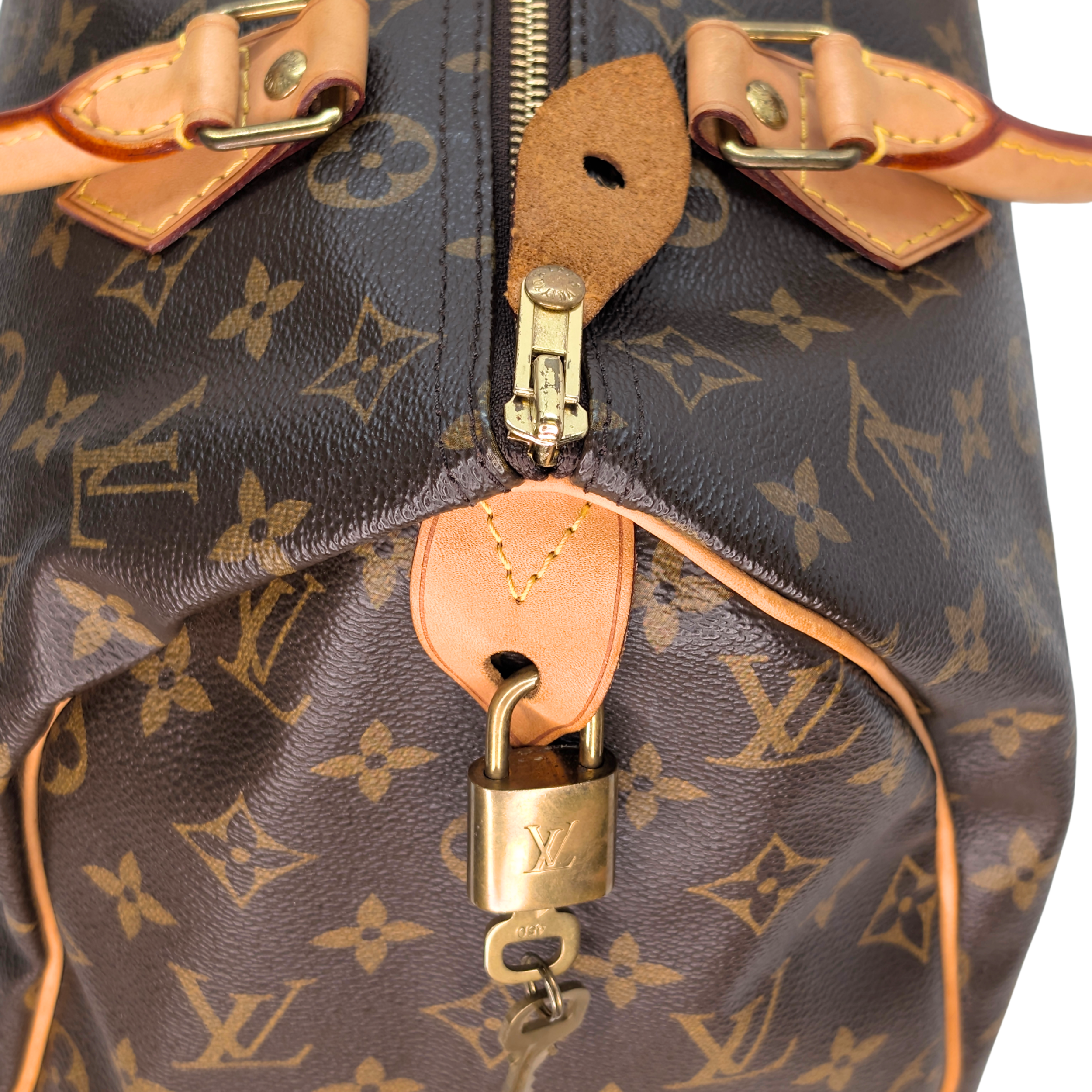 Louis Vuitton Speedy 30 Monogram Bag