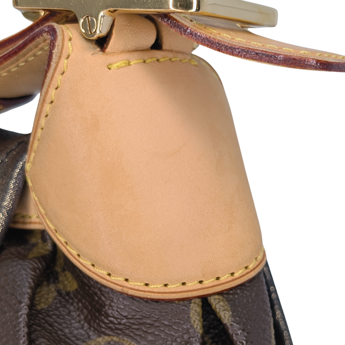 Louis Vuitton Monogram Kalahari PM Limited Edition
