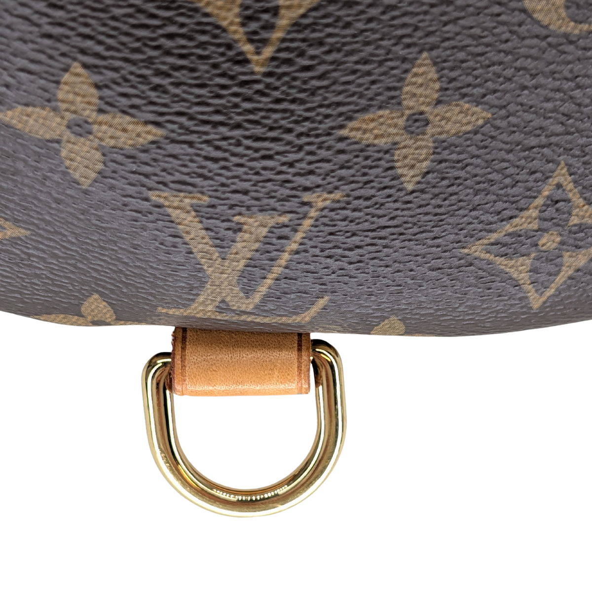 Louis Vuitton Bumbag Monogram