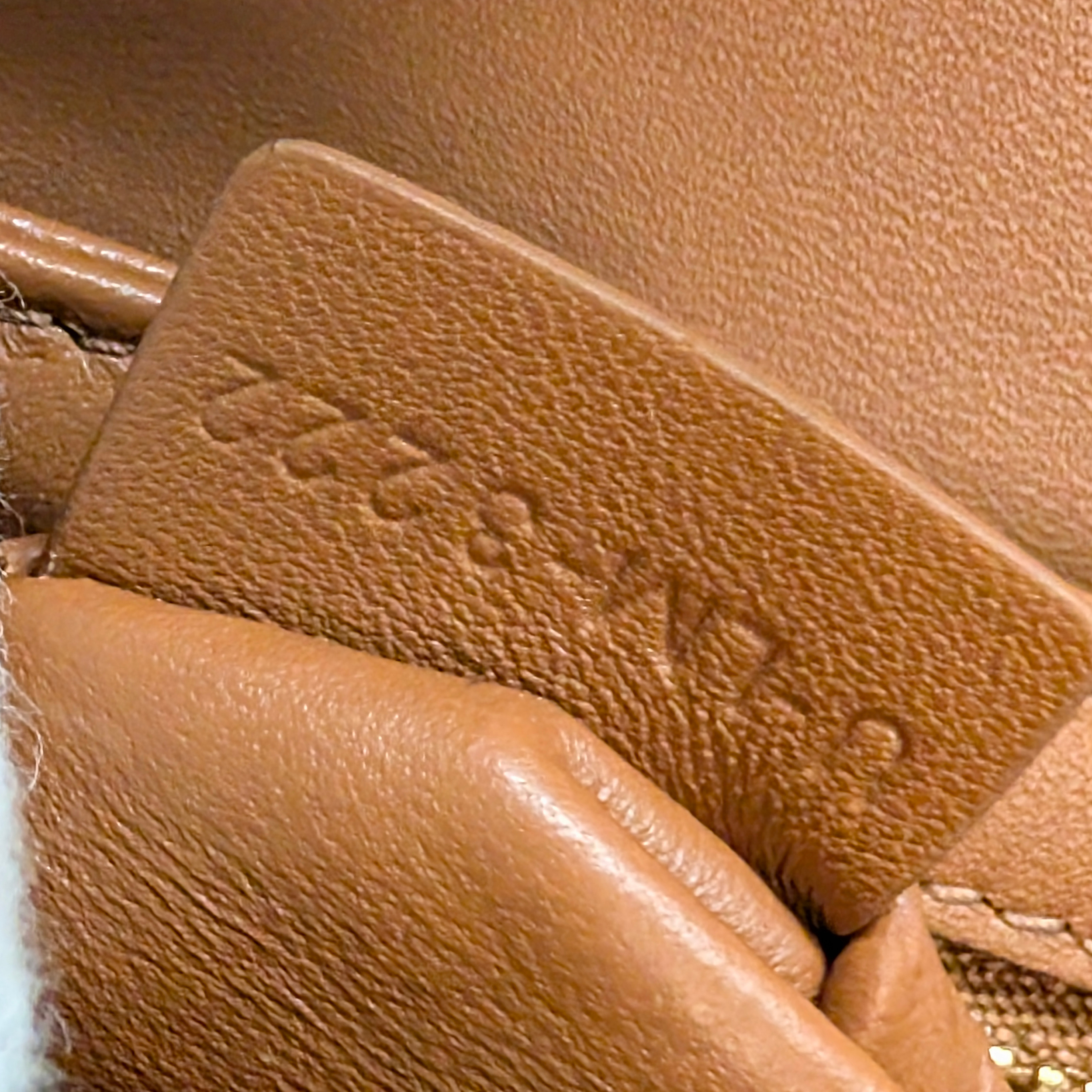 Celine Teen Triomphe Crossbody Bag Triomphe Canvas