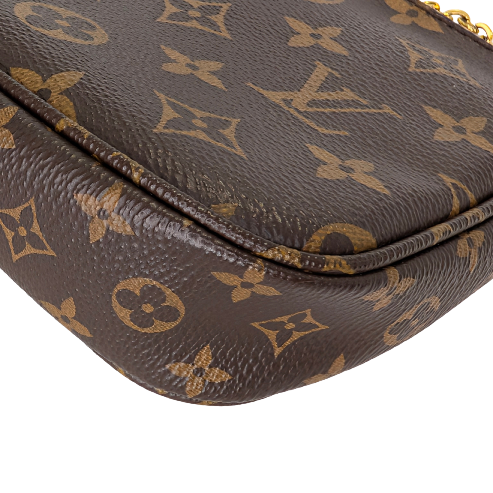 Louis Vuitton Monogram Multi Pochette Accessoires Brown