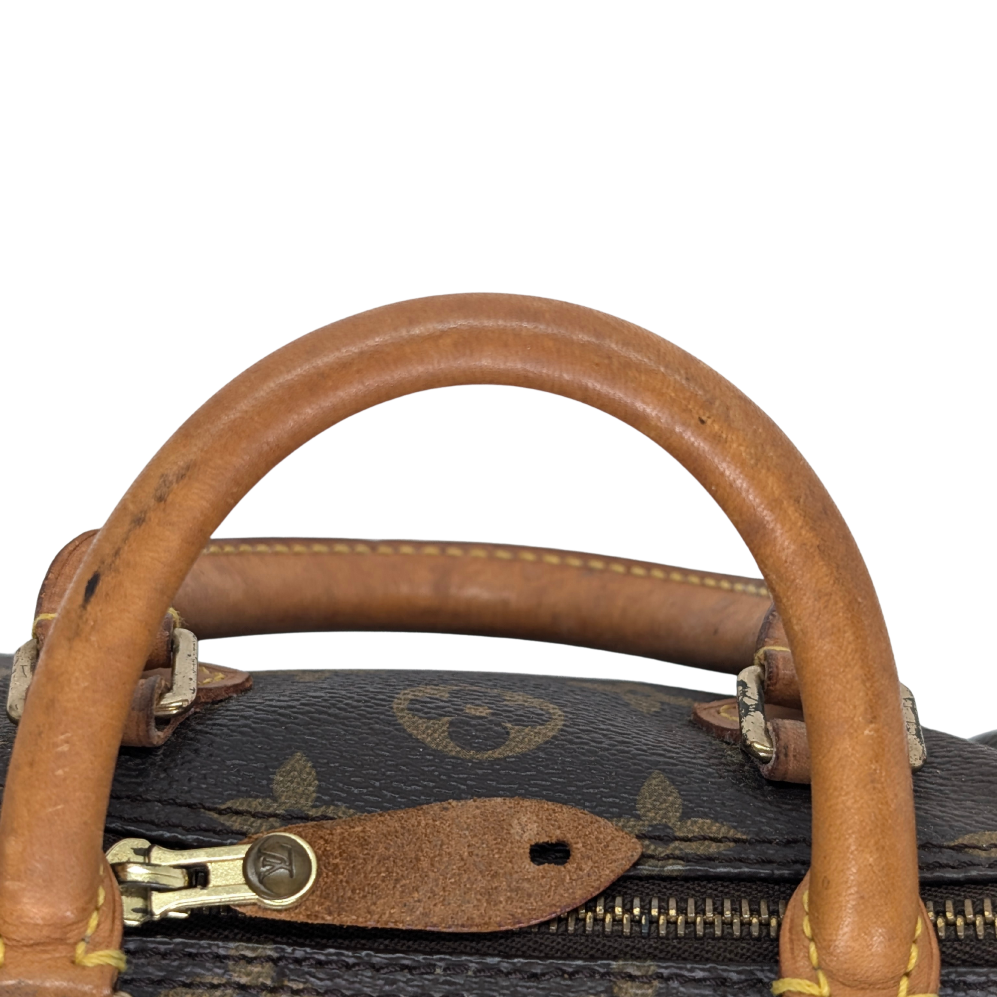 Louis Vuitton Nano Speedy Monogram Handbag Brown