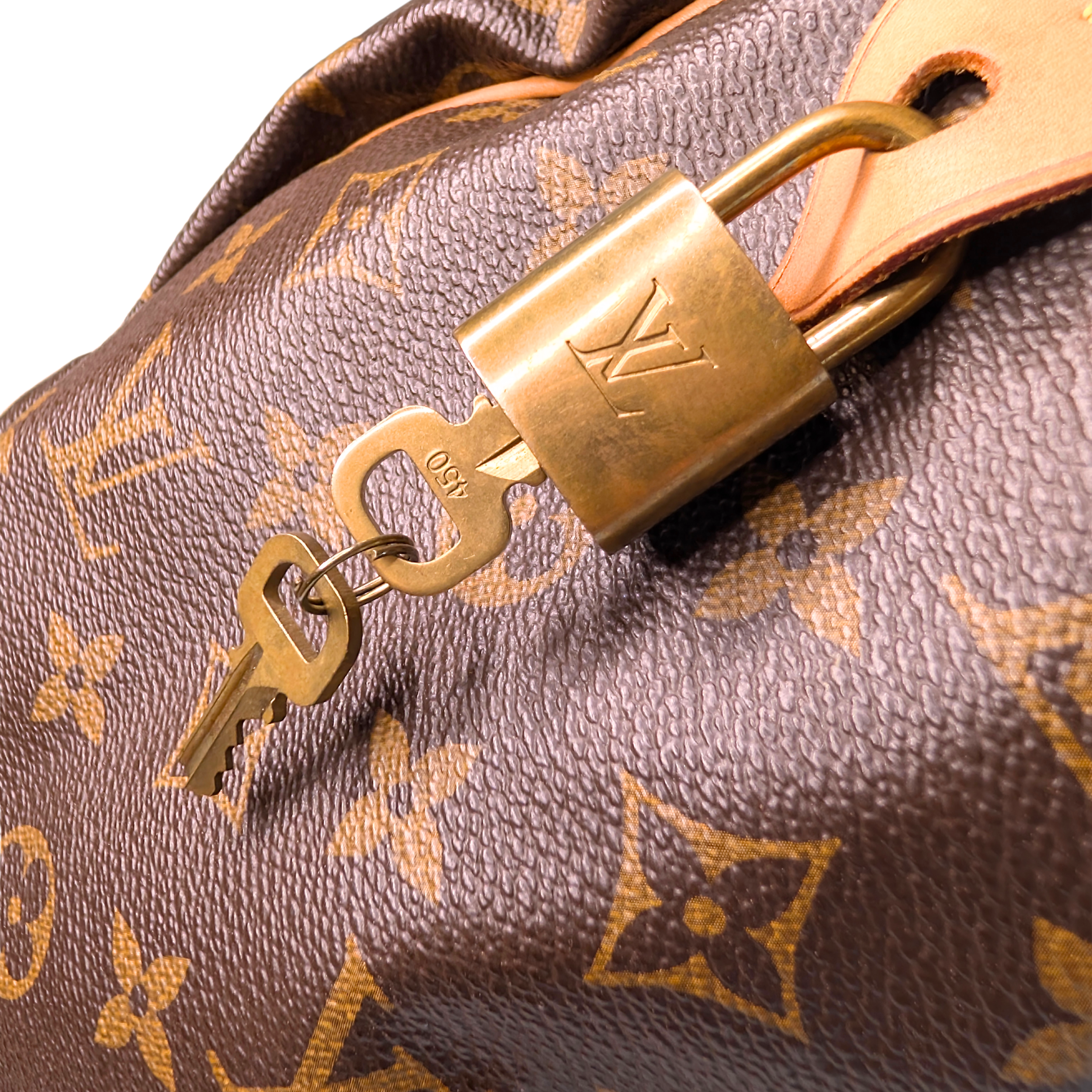 Louis Vuitton Speedy 30 Monogram Bag