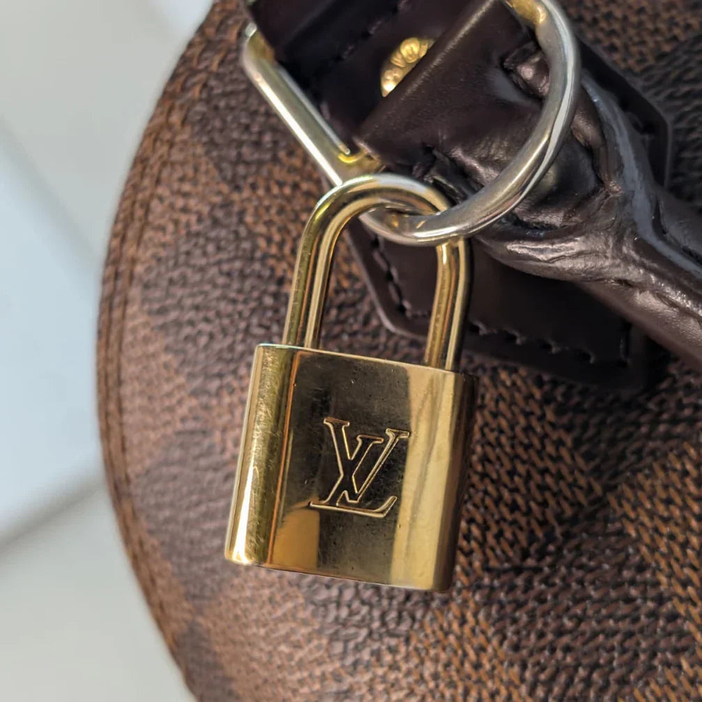 Louis Vuitton Alma BB Damier Bag - Lost Designer