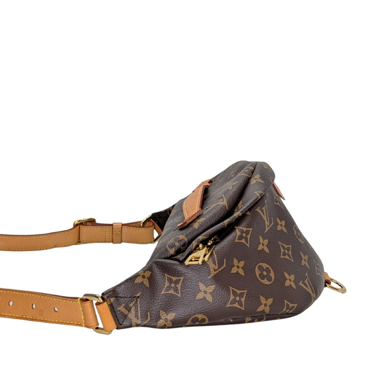 Louis Vuitton Bumbag Monogram