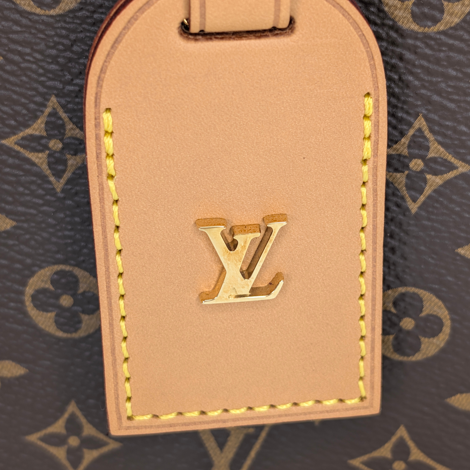 Louis Vuitton 2019 Petite Boite Chapeau Satchel Bag