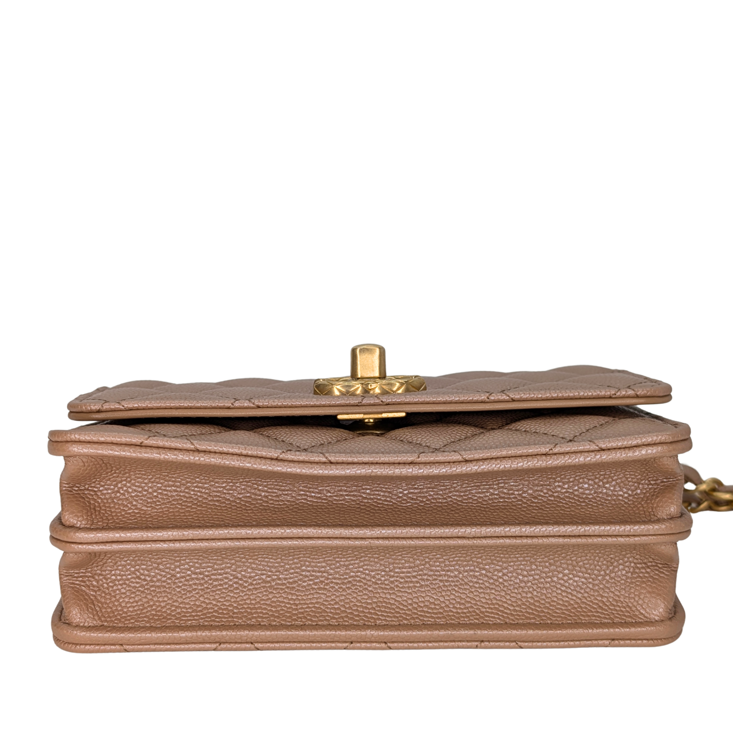 Chanel Clutch on Chain Bag Metallic Beige
