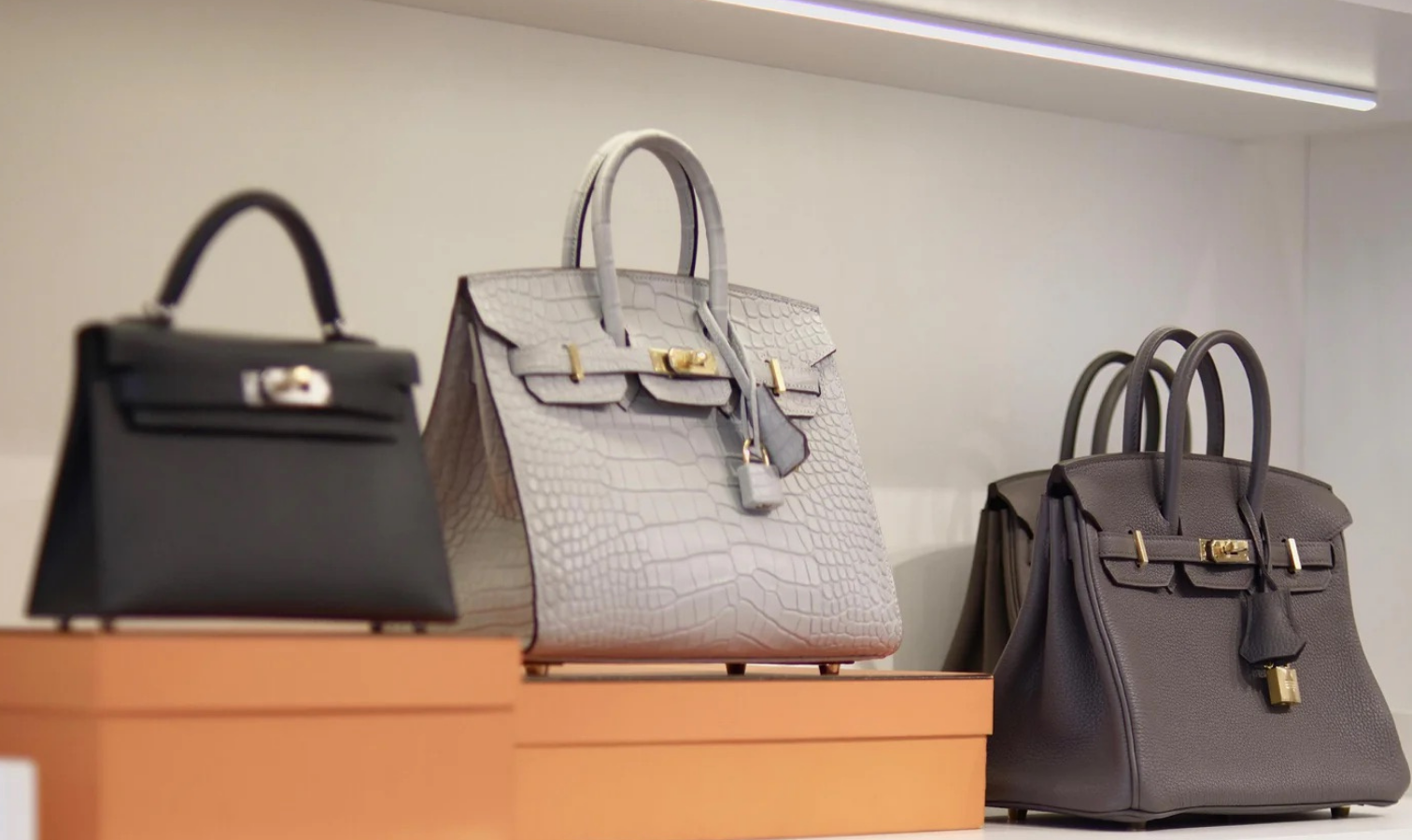 Hermes Birkin and Kelly bags for a size and style comparison