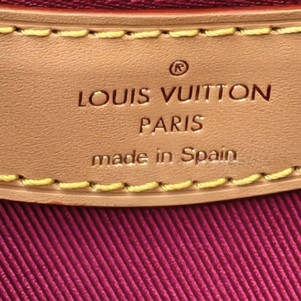 Louis Vuitton Diane Monogram Bag