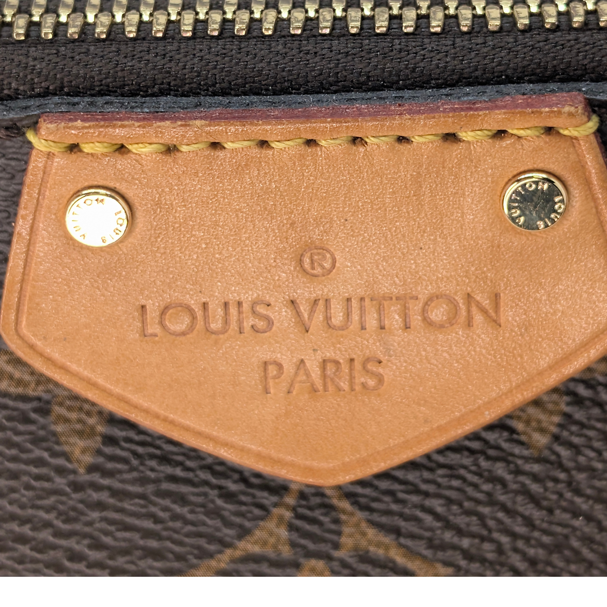 Louis Vuitton Monogram Turenne MM Handbag Brown