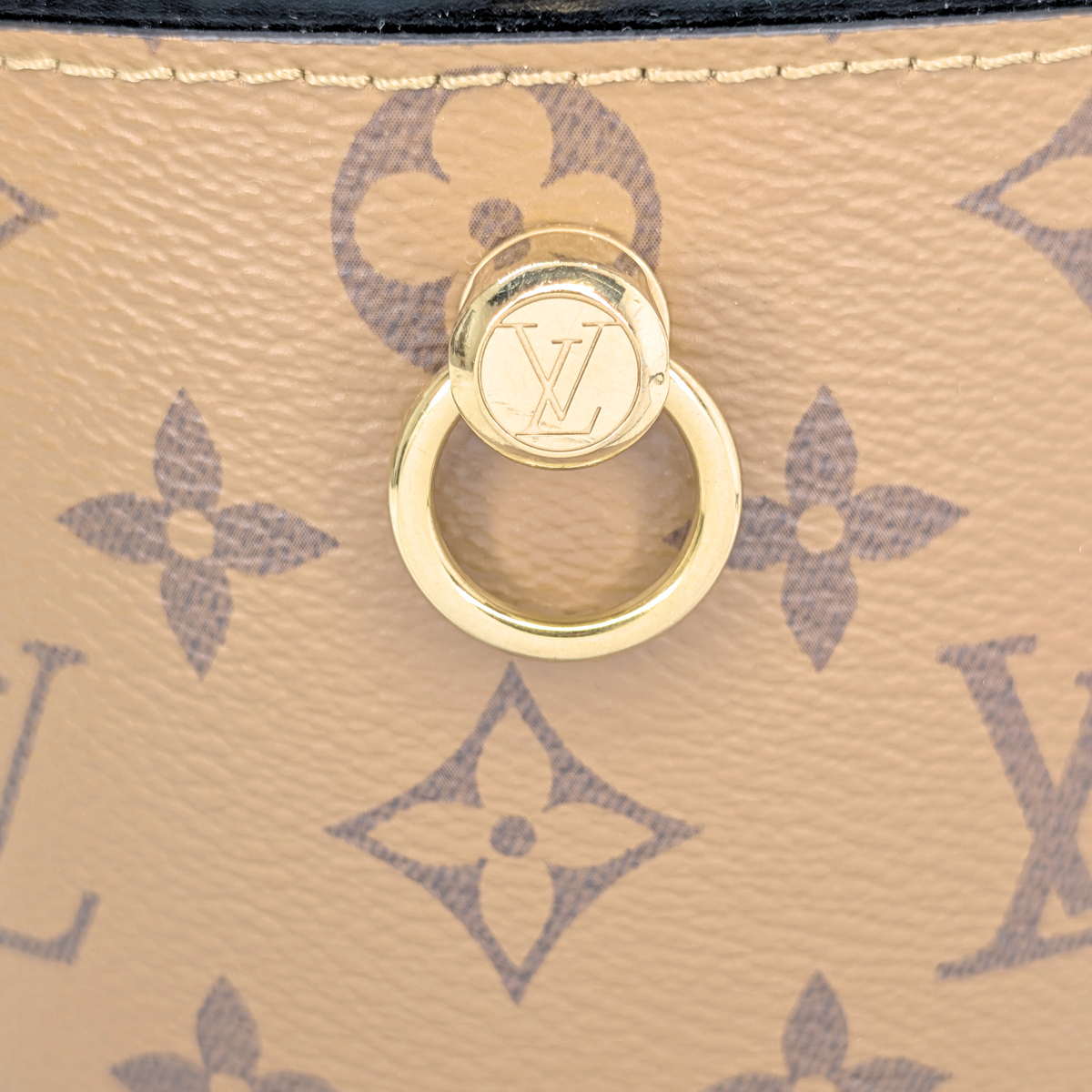 Louis Vuitton Cannes Monogram Reverse Canvas
