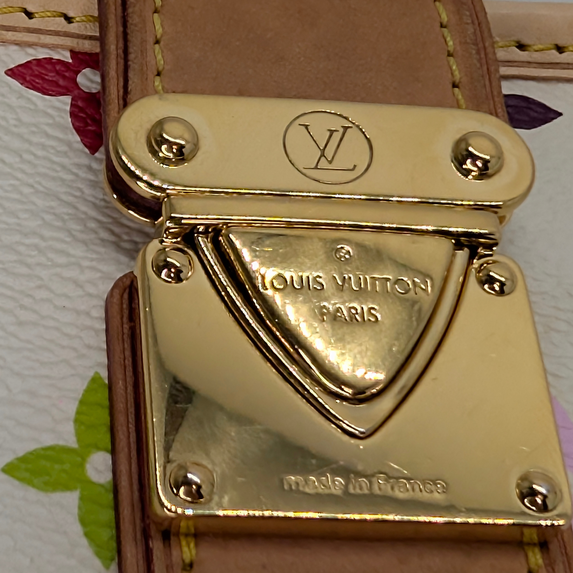 Louis Vuitton Shirley Shoulder Bag Multicolore