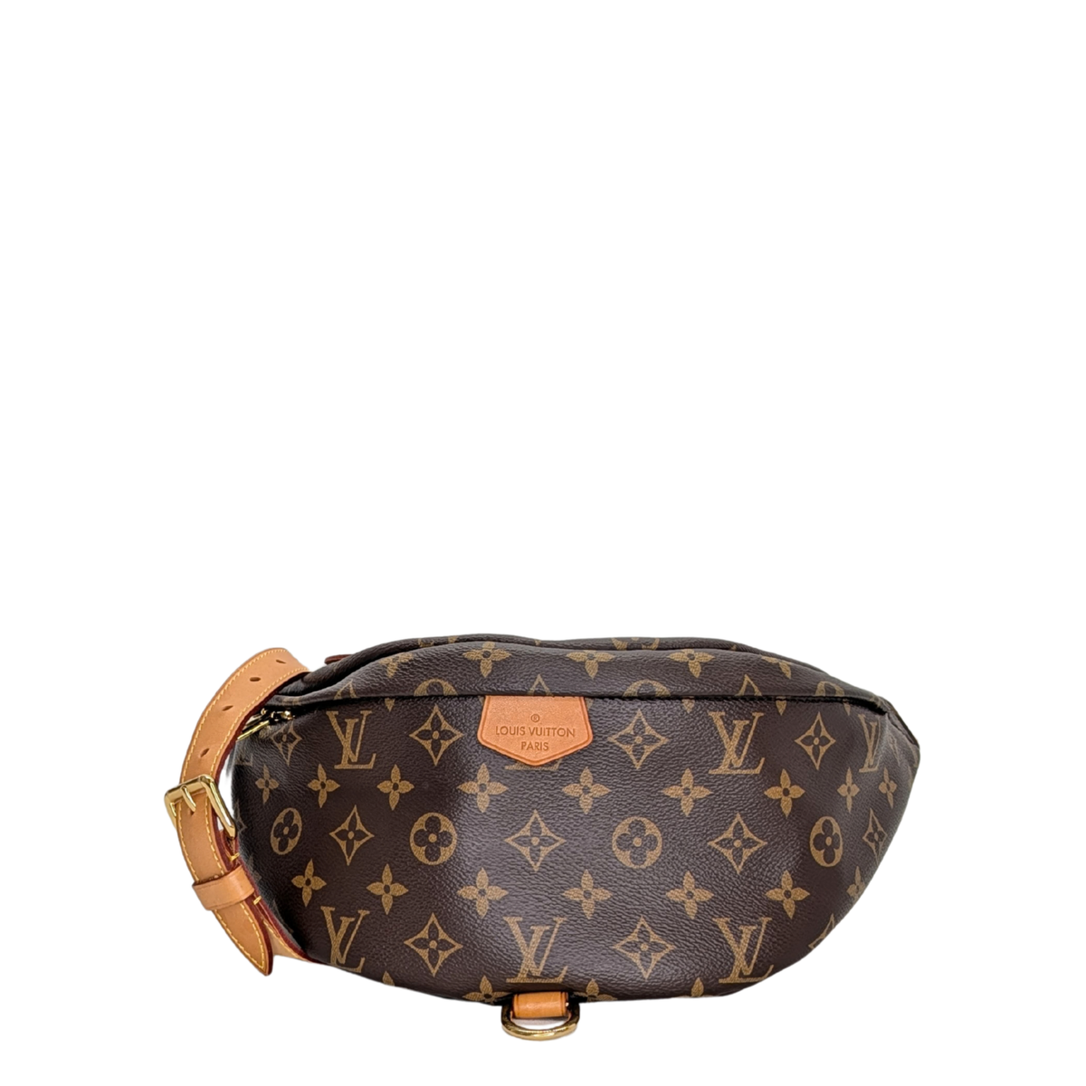 Louis Vuitton Bumbag Monogram