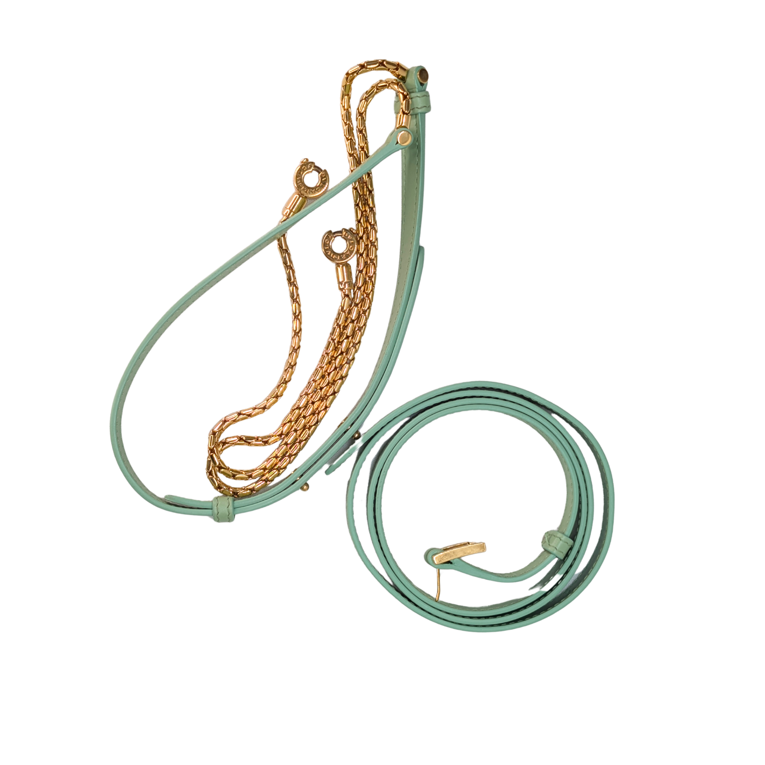 Bvlgari X Alexander Wang Serpenti Bag Sage Green