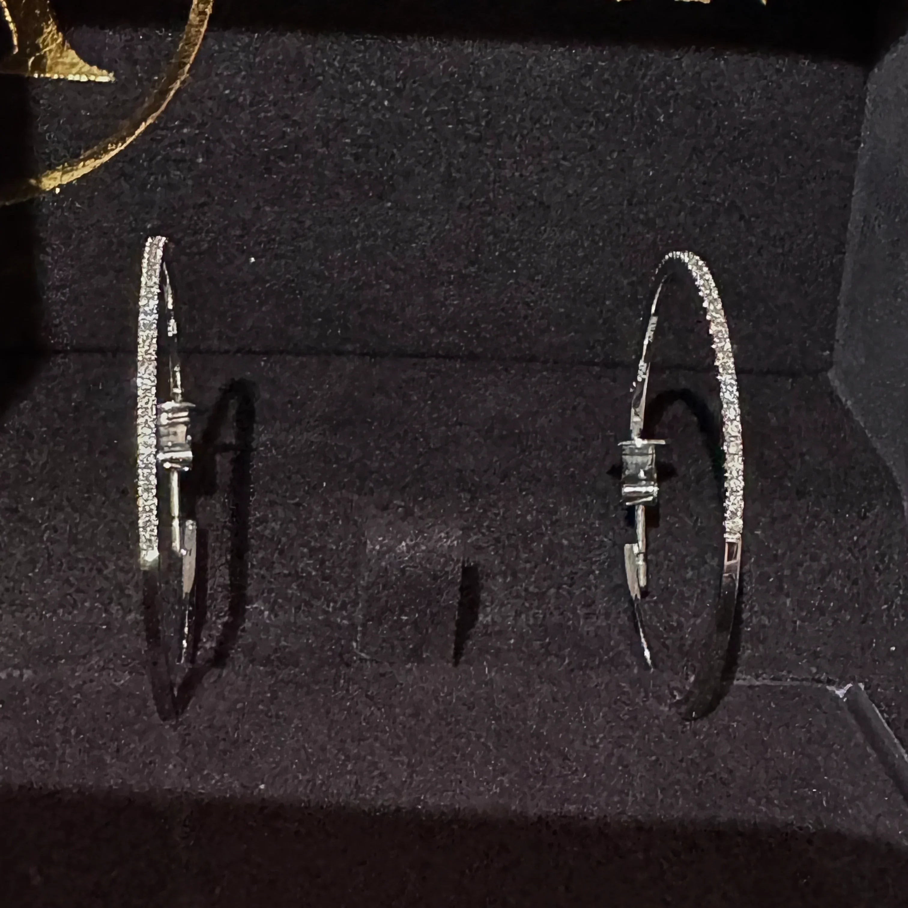 Anton Earrings (hoops) - Lost Designer