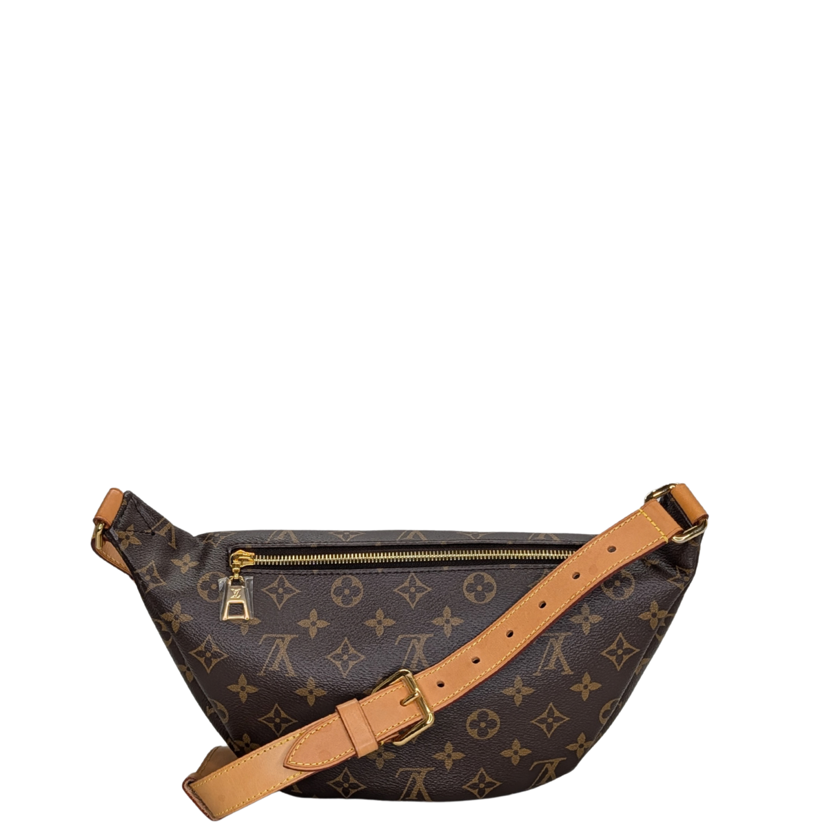 Louis Vuitton Bumbag Monogram