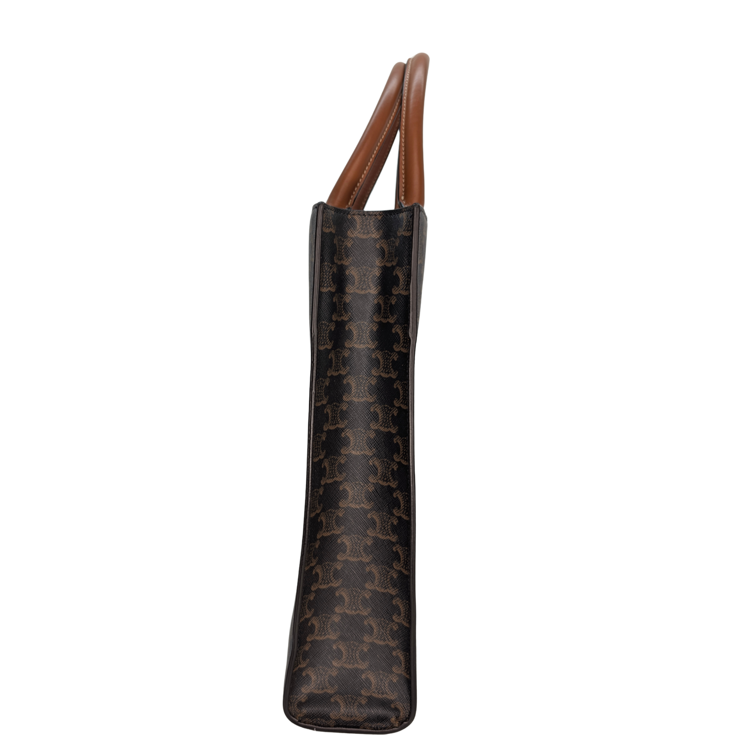 Celine Small Vertical Cabas Tote Bag Triomphe Canvas