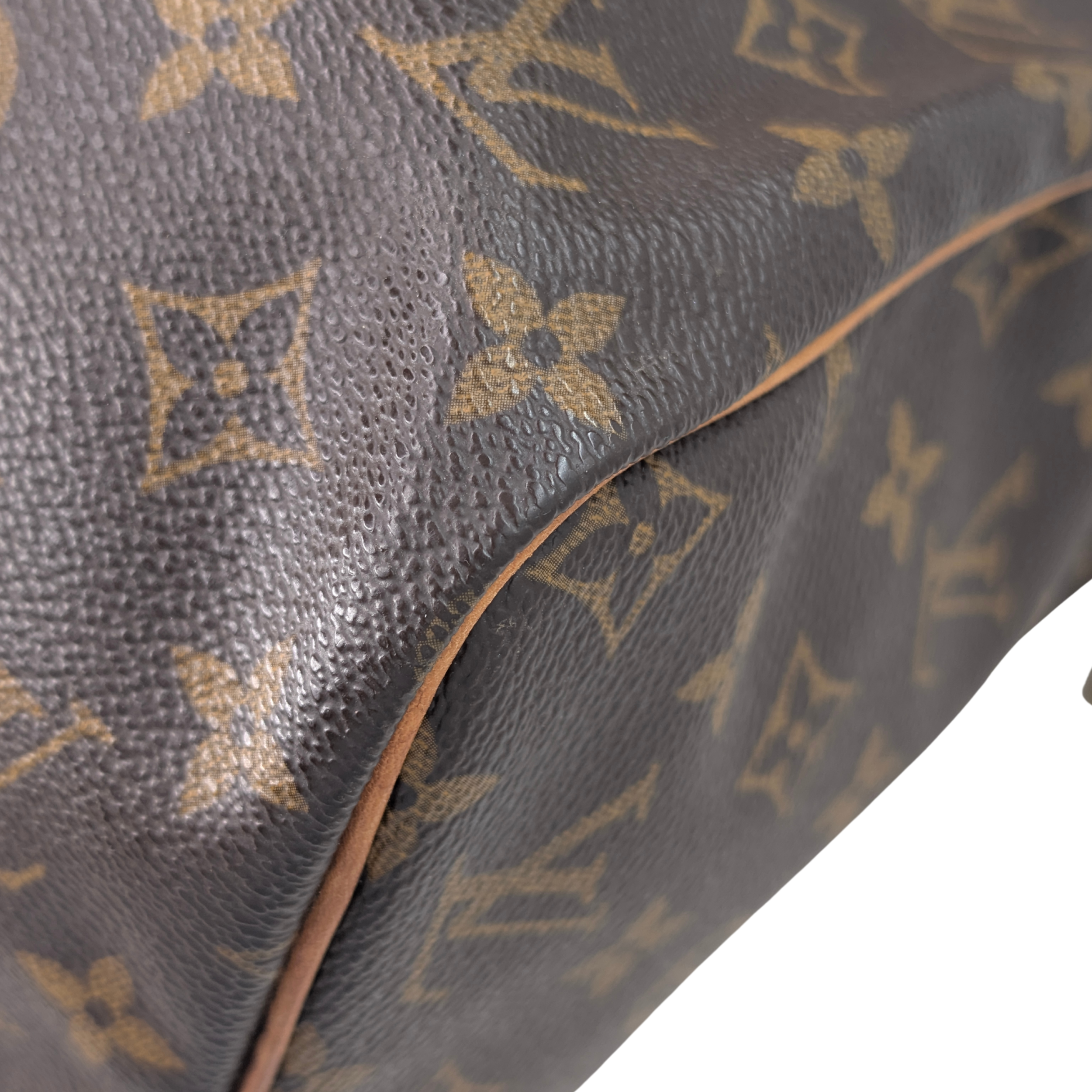 Louis Vuitton Speedy 30 Monogram Bag