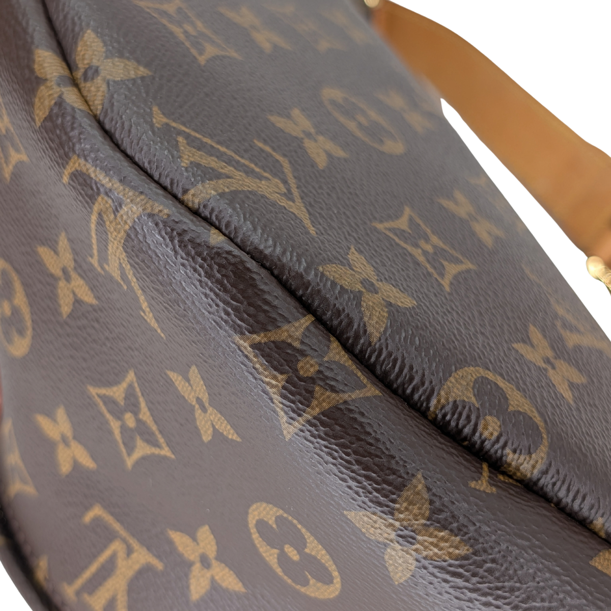 Louis Vuitton Bumbag Monogram