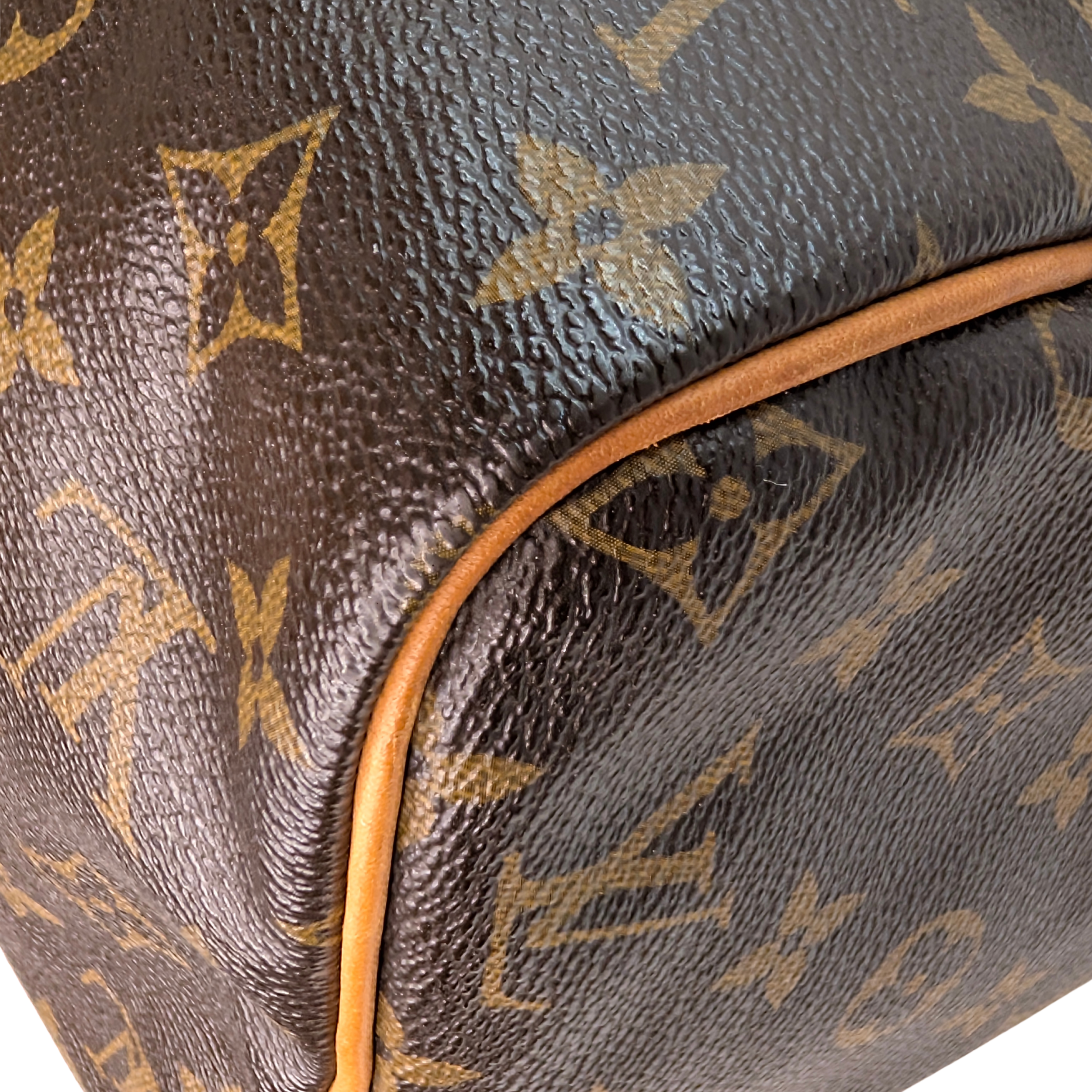 Louis Vuitton Speedy 30 Monogram Bag