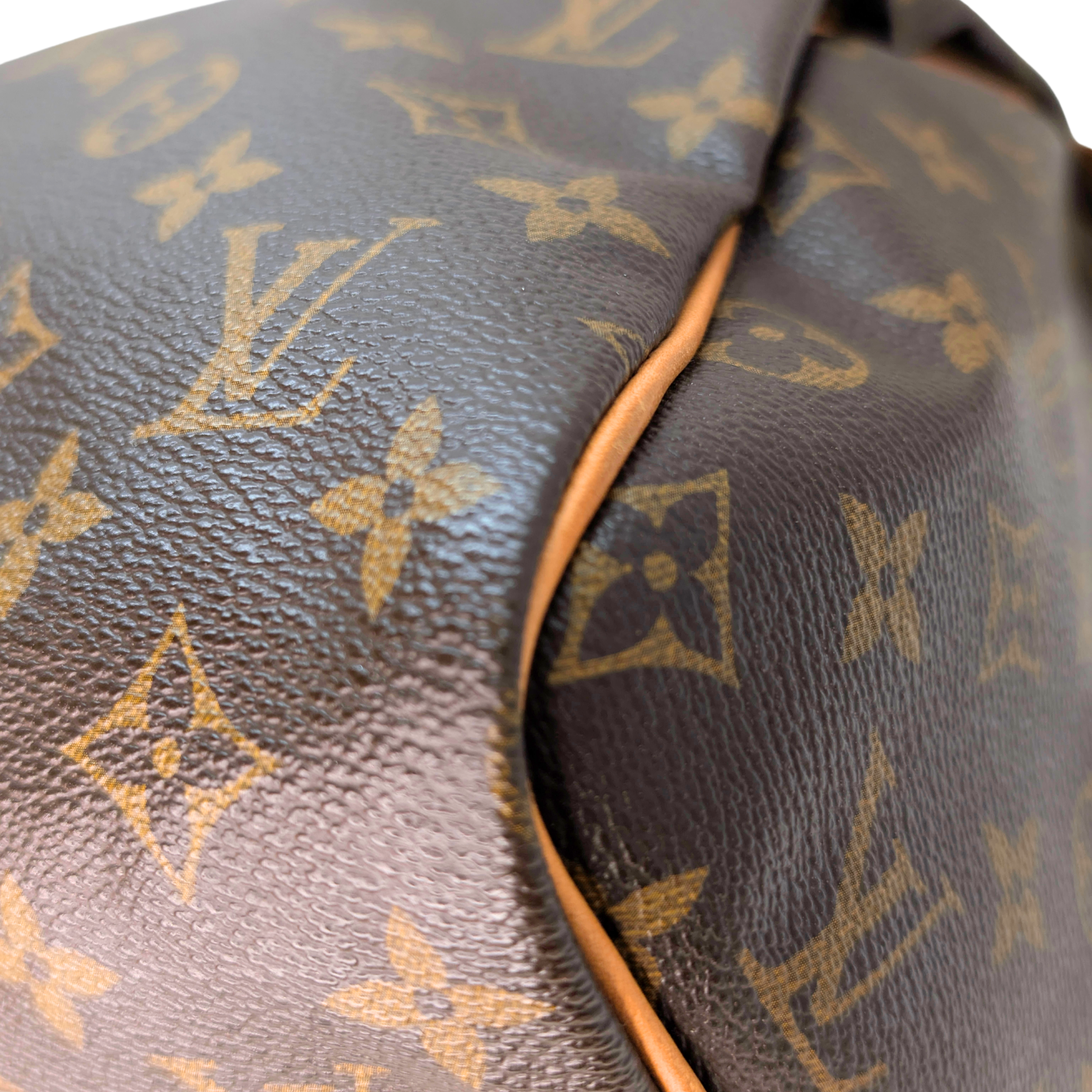 Louis Vuitton Speedy 30 Monogram Bag