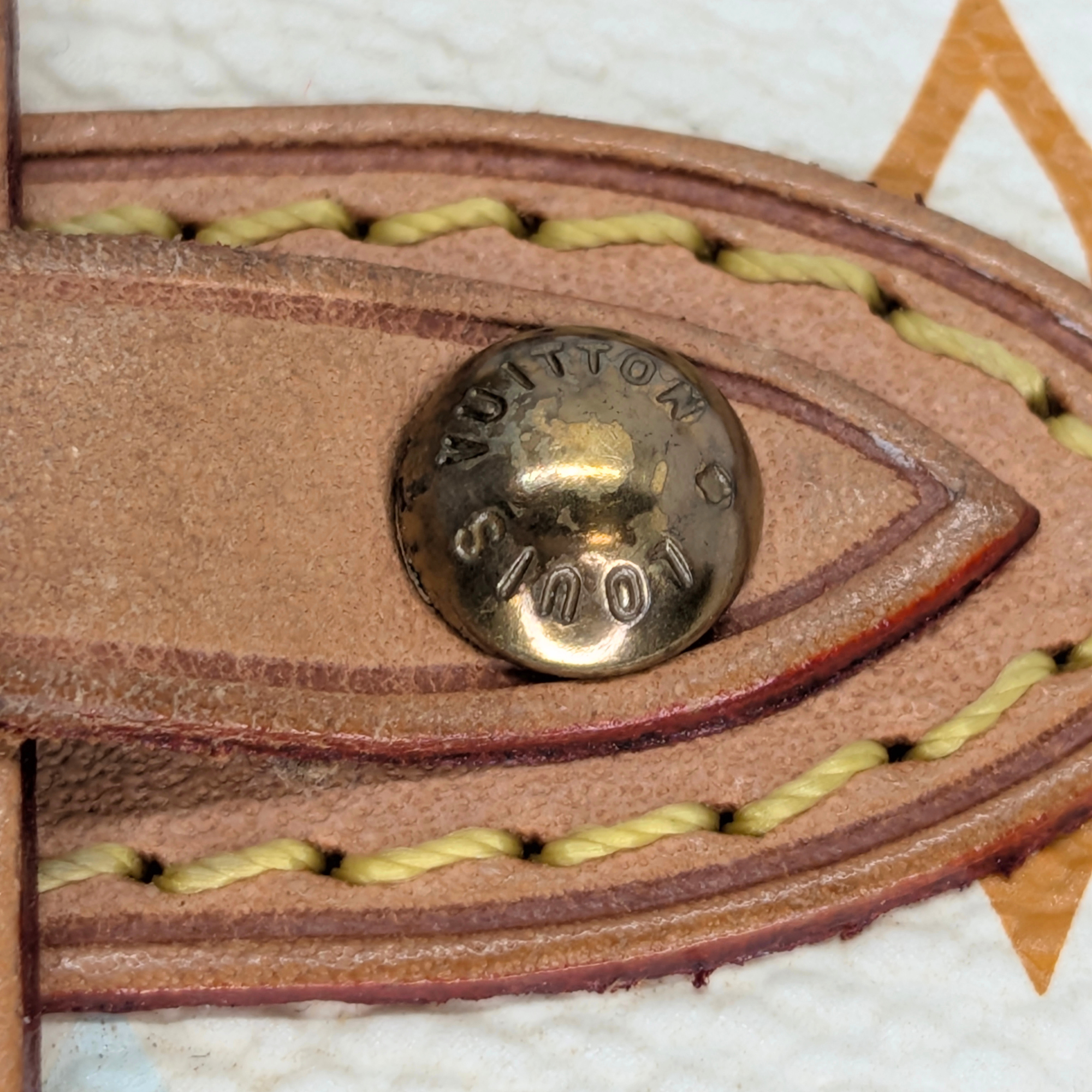 Louis Vuitton Shirley Shoulder Bag Multicolore