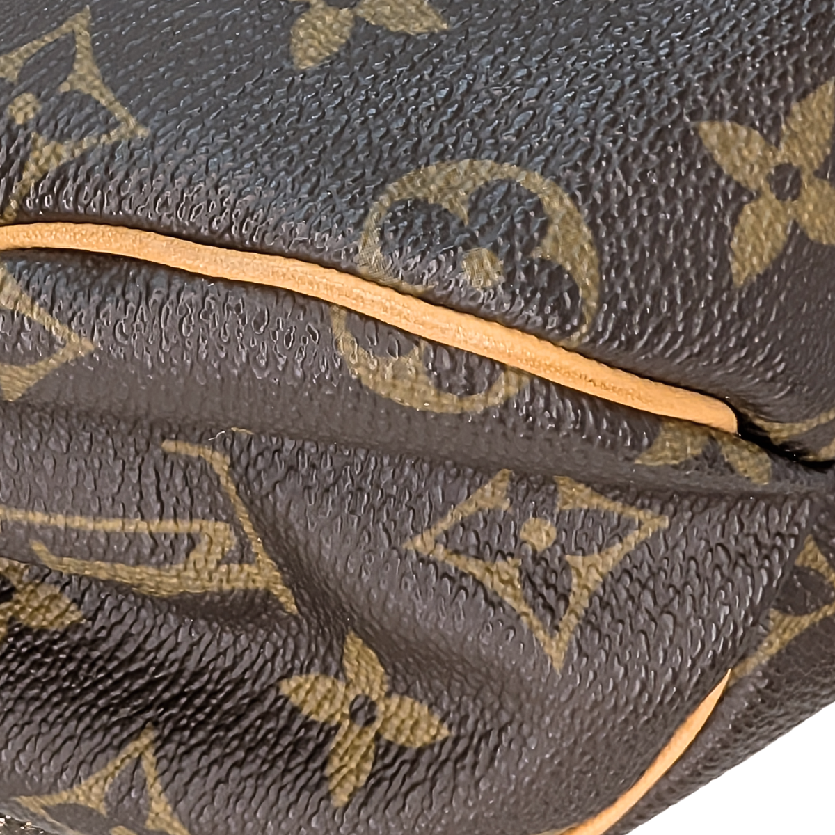 Louis Vuitton Monogram Kalahari PM Limited Edition