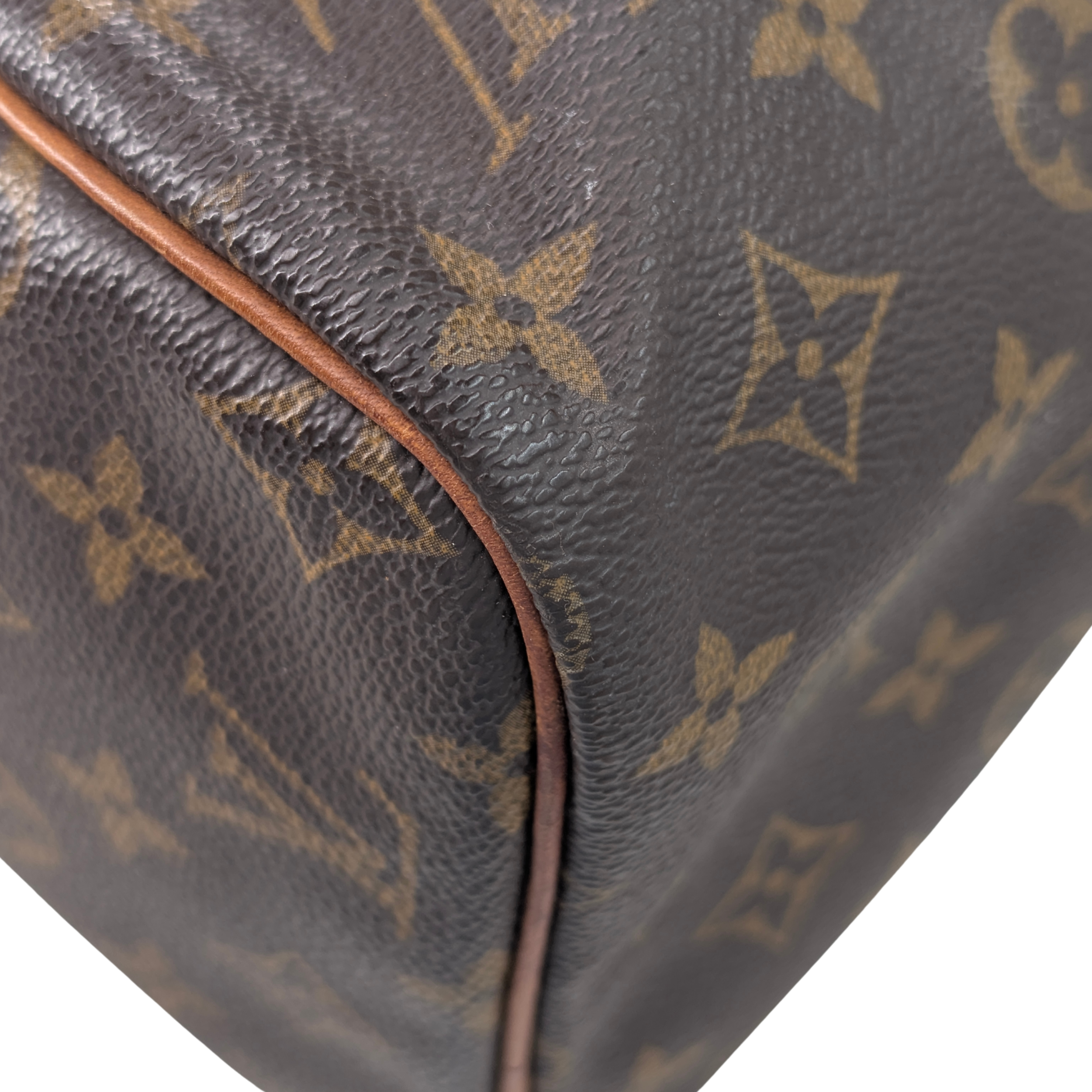 Louis Vuitton Speedy 30 Monogram Bag